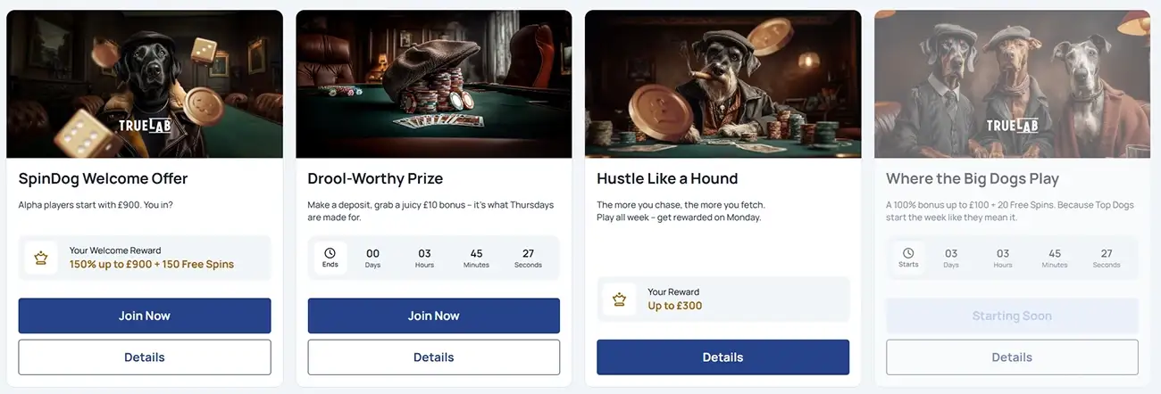 SpinDog Casino Bonuses and Promotions